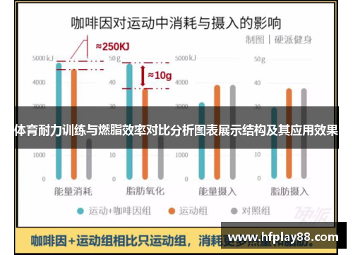 体育耐力训练与燃脂效率对比分析图表展示结构及其应用效果