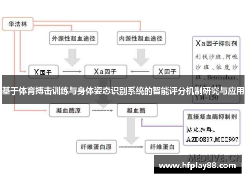 基于体育搏击训练与身体姿态识别系统的智能评分机制研究与应用